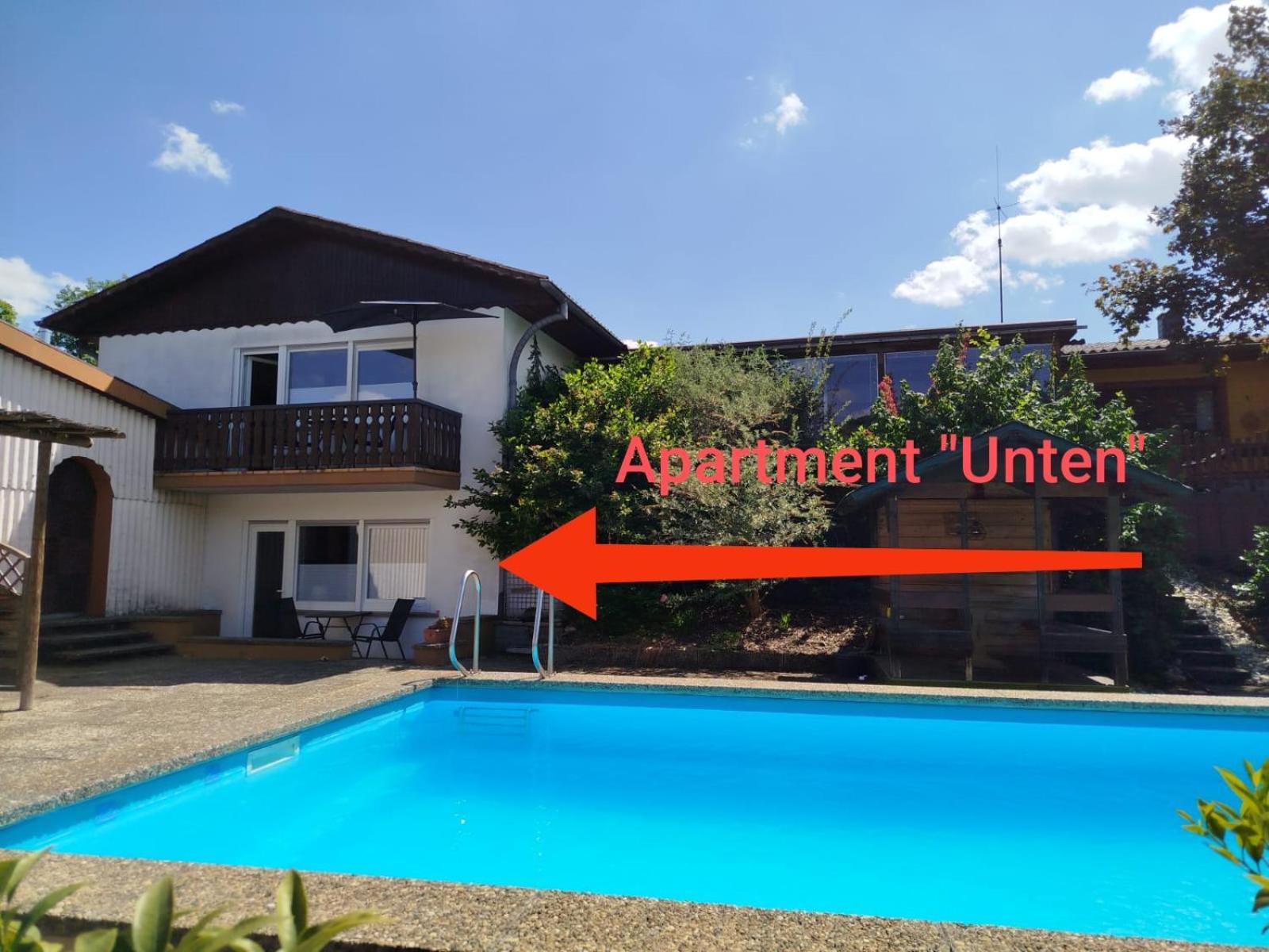 Moselferienweingut Schaefer Appartement Wintrich Kamer foto